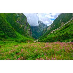 Chenap Valley Trek 8N/9D